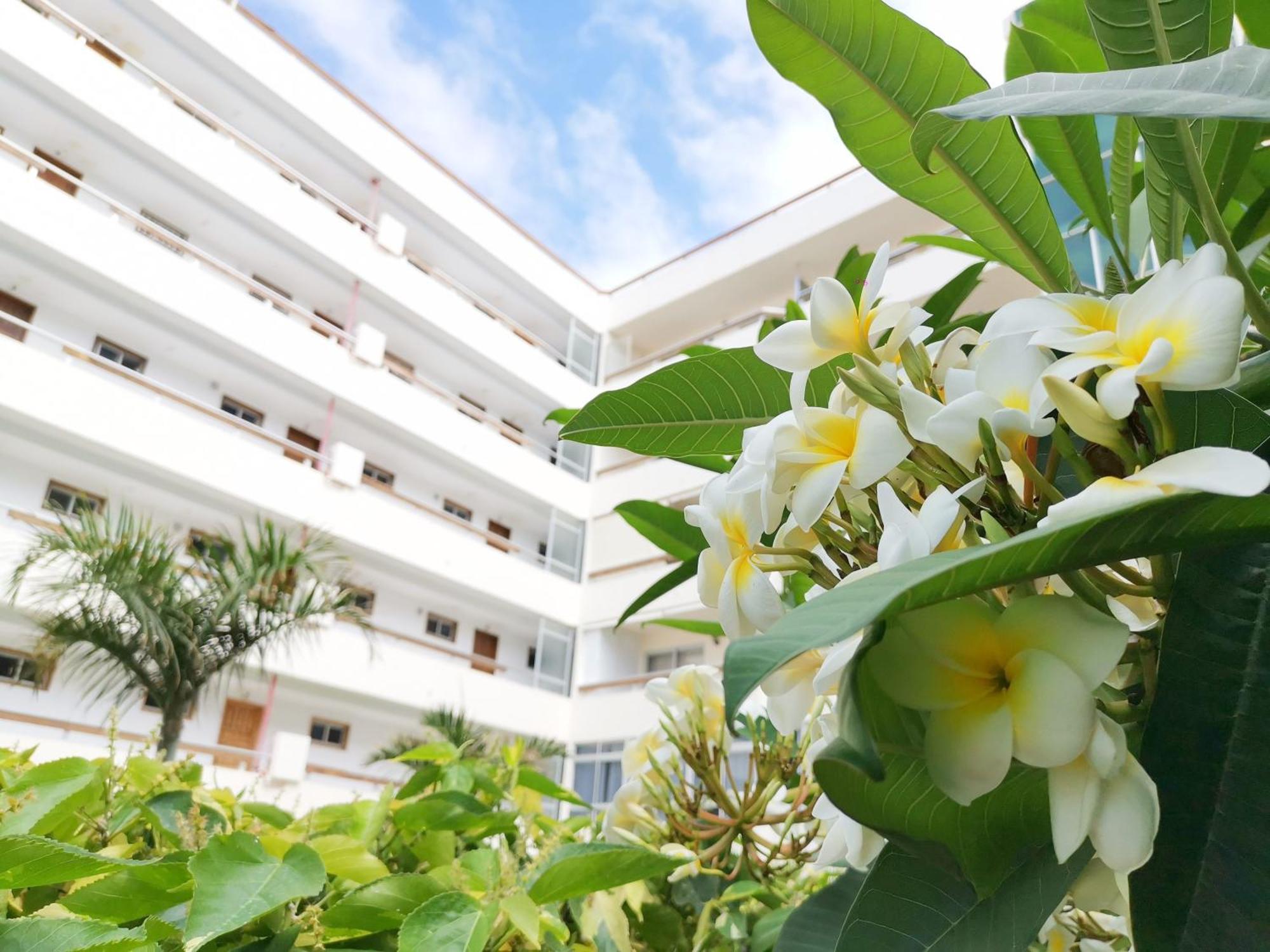 Las Camelias 215 By Pride Holiday Rentals Maspalomas  Zewnętrze zdjęcie