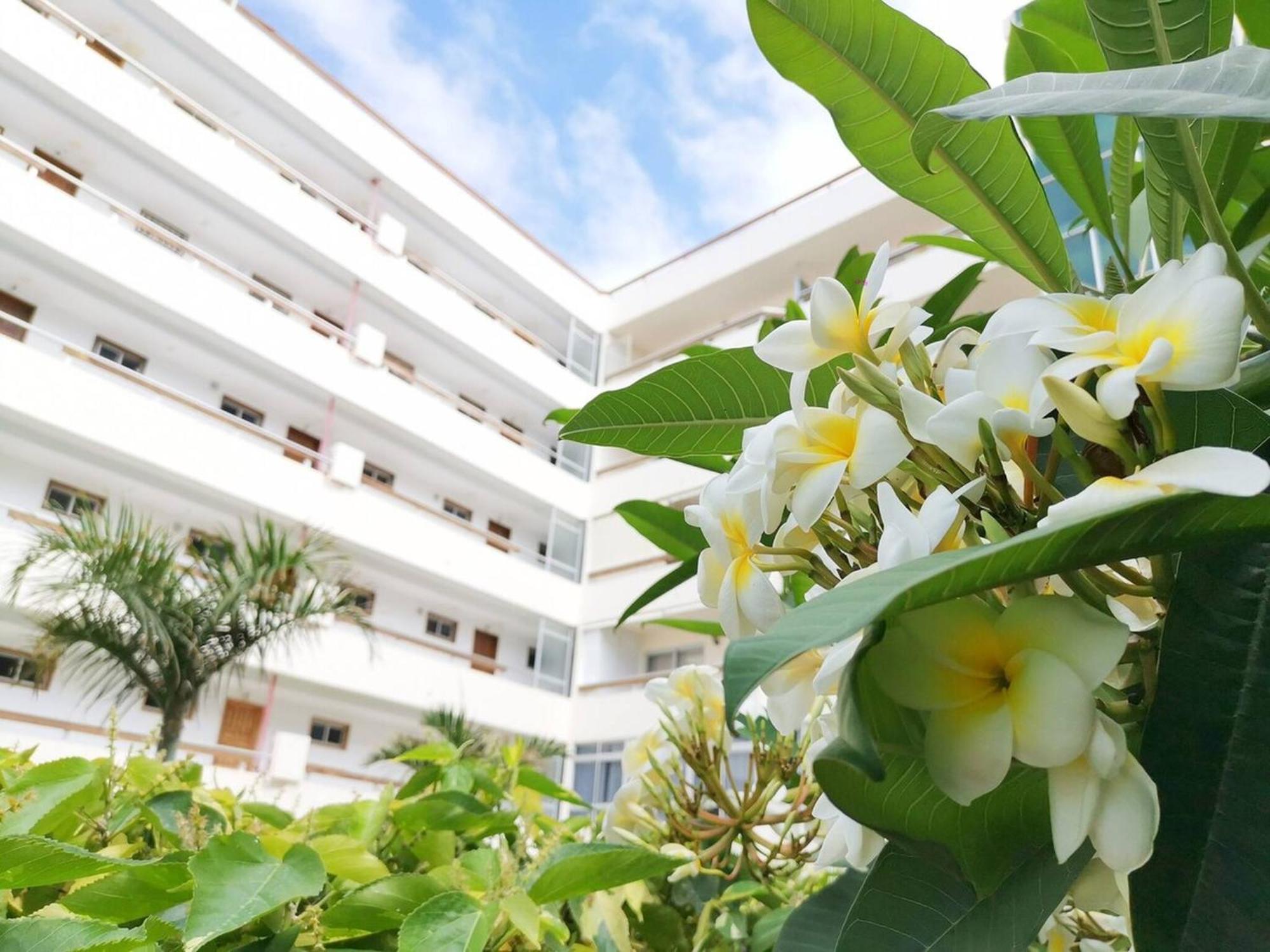 Las Camelias 215 By Pride Holiday Rentals Maspalomas  Zewnętrze zdjęcie
